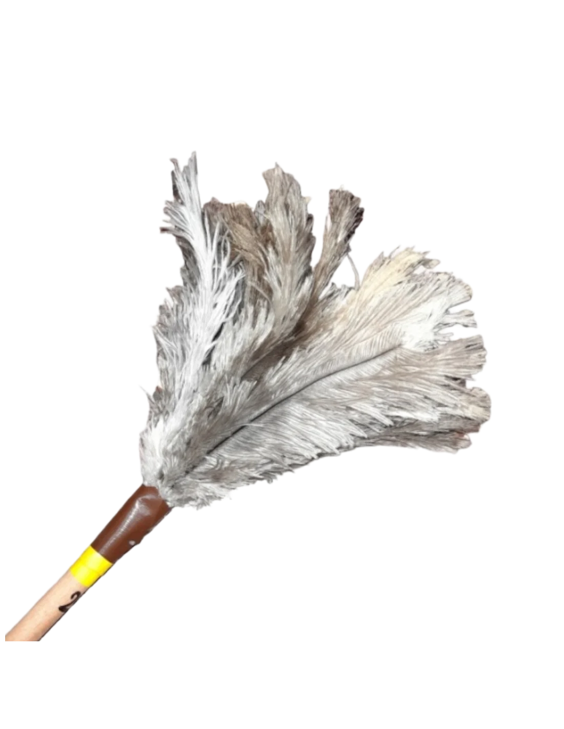 Plumero N°3