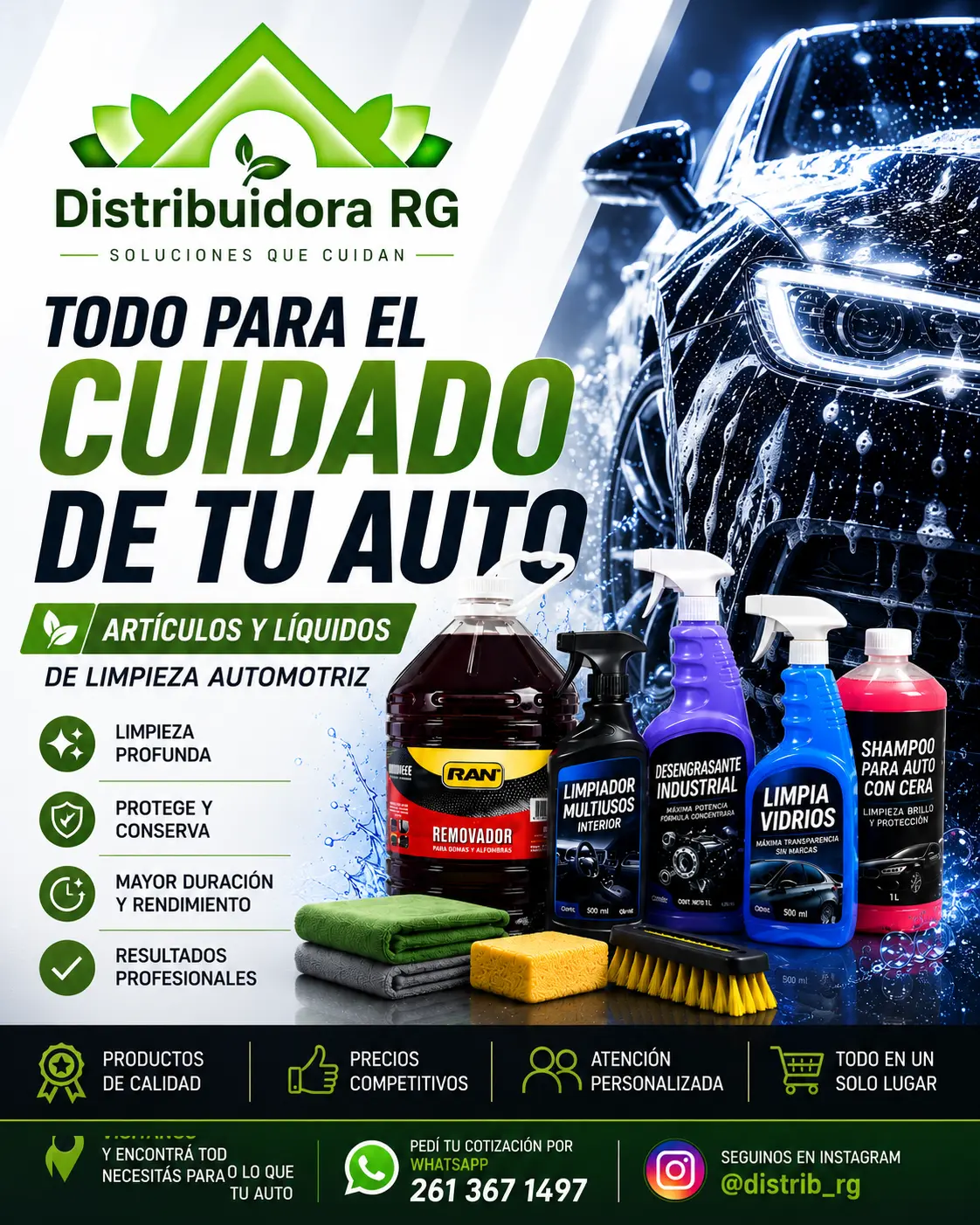 Limpieza automotriz RG